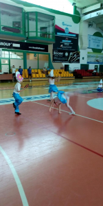 image2 (2)